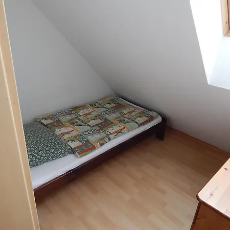 Nordseepferdchen *